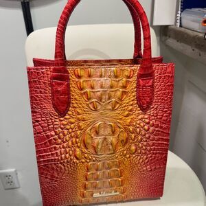 Euc Brahmin Moria strap tags dust bag
